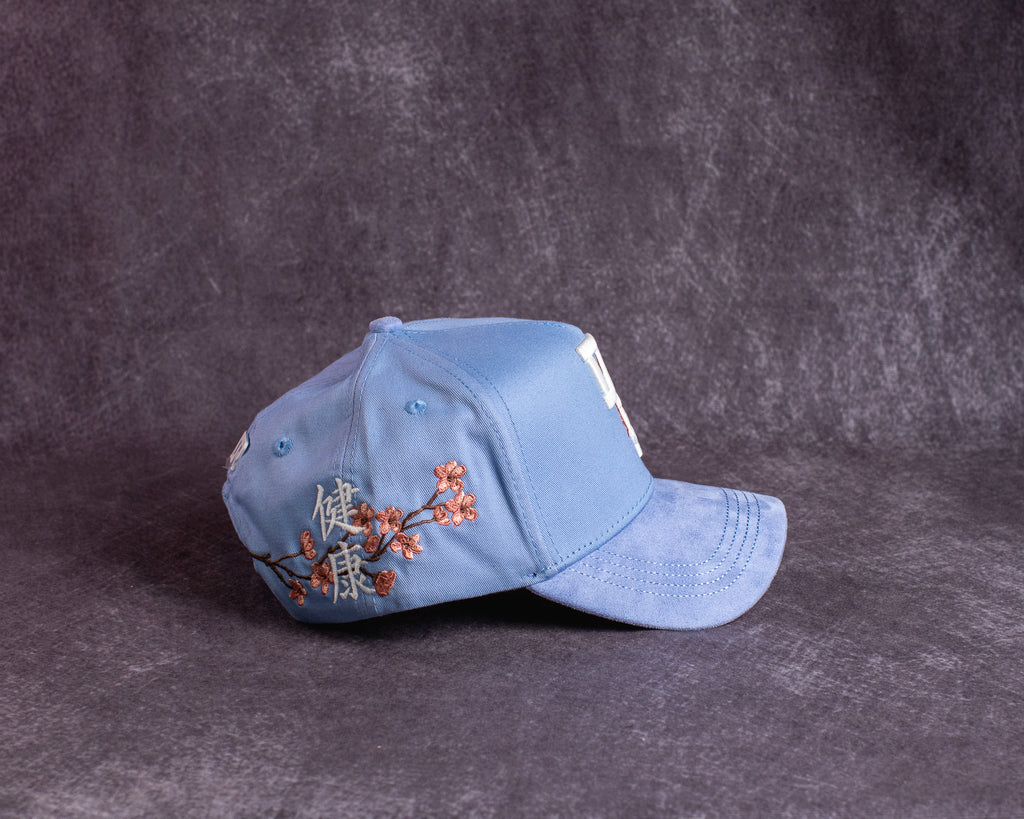 DREAMER HATS KANJI V2